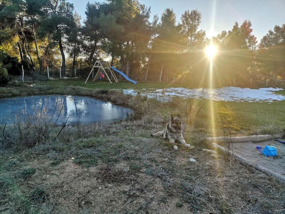 Mas Del Olivar La Portellada Exteriör bild
